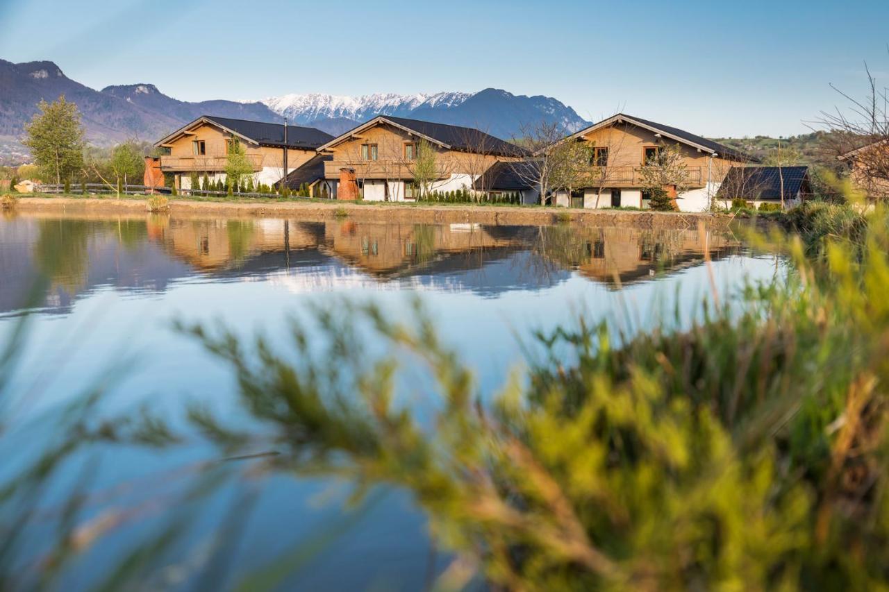 Green Resort Bran Bran  Eksteriør bilde