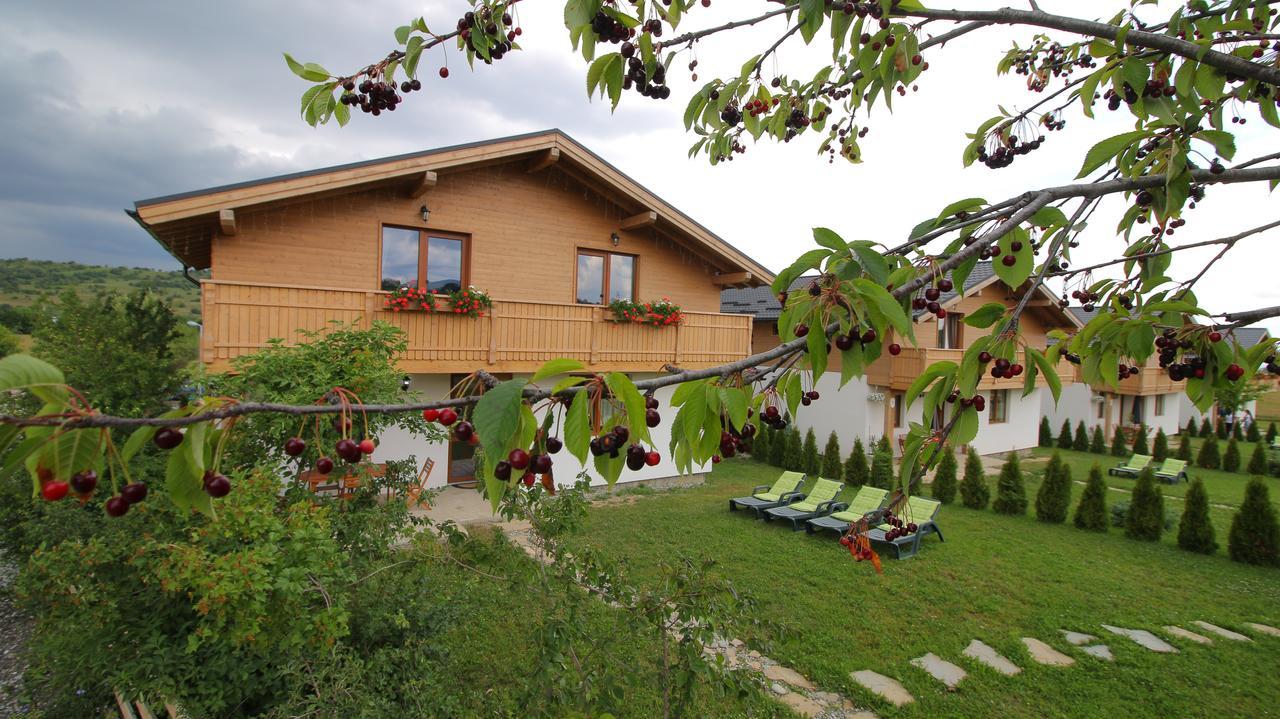 Green Resort Bran Bran  Eksteriør bilde